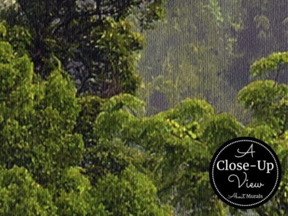 Close up view of misty rainforest wallpaper sold by About Murals