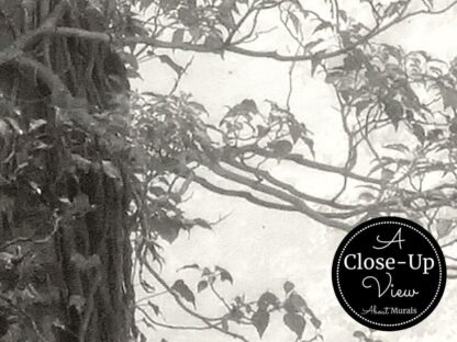 Monochrome Forest Wallpaper - Image 3