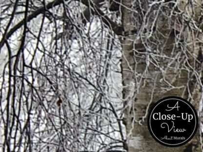 Winter Birch Trees Wallpaper - Image 3