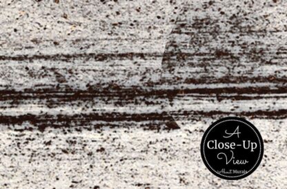 A close-up view of a patina concrete effect wallpaper from About Murals.