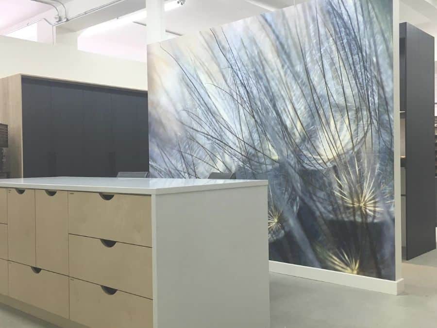 Purple Blue Dandelion Wallpaper, as seen on the wall of this office, is a flower mural with large dandelion seeds against a green and blue background from About Murals.