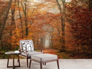Autumn Wallpaper, as seen on the wall of this forest themed spa, is a photo mural of arched orange trees over a trail in a forest from About Murals.