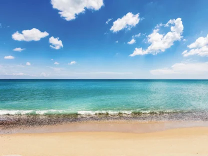 Beach Scene Wallpaper is a photo mural of a blue ocean and tropical beach from About Murals Canada.