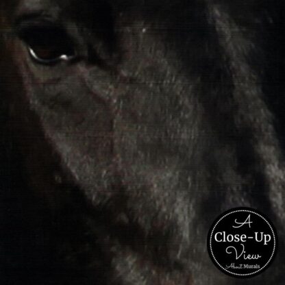 Black Horse Wallpaper - Image 3