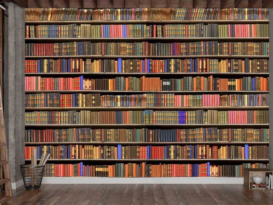 Bookshelf Wallpaper, as seen on the wall of this book themed room, is a mural with red, orange, yellow, green, blue, black and brown books on a bookcase from About Murals.