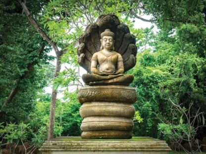 Buddha Wallpaper is a photo mural of a Thai Buddha sitting on a coiled snake in a forest from About Murals.