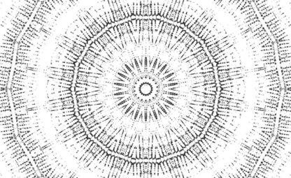 Circle Wallpaper is a black and white mural of one large, radiating geometric circle design from About Murals.