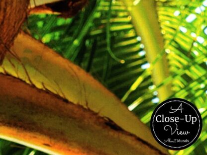 Coconut Tree Wallpaper - Image 3