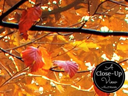 Fall Wallpaper - Image 3