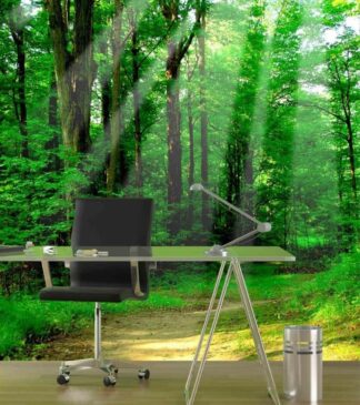 Green Forest Wallpaper, as seen on the wall of this office, is a photo mural of sunbeams shining through trees onto a trail from About Murals.