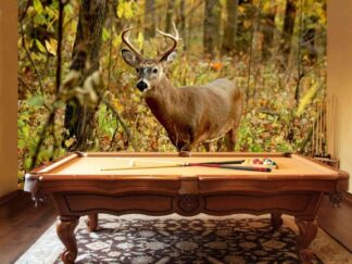 White Tailed Deer Wallpaper, as seen on the wall of this hunting man cave, is a photo mural of a woodland animal in a fall forest from About Murals.
