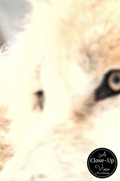White Wolves Wallpaper - Image 3