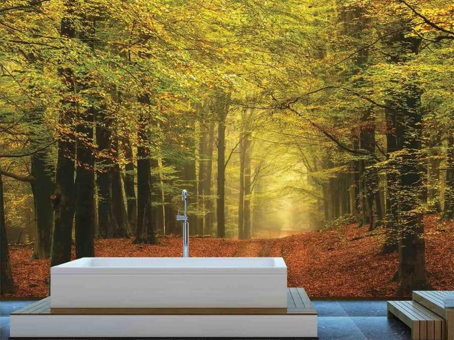 Autumn Trail Wallpaper, as seen on the wall of this fall themed bathroom, is a photo mural of yellow and green arched trees over a forest trail from About Murals.