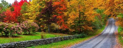 Fall Road Wallpaper for Walls - Image 3
