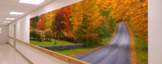 Fall Road Wallpaper, as seen on the wall of this care home corridor, is a photo mural of yellow, orange and red trees surrounding a country road in fall from About Murals