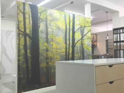 Yellow Autumn Wallpaper, as seen on the wall of this commercial office, is a photo mural of trees in a fall forest from About Murals.