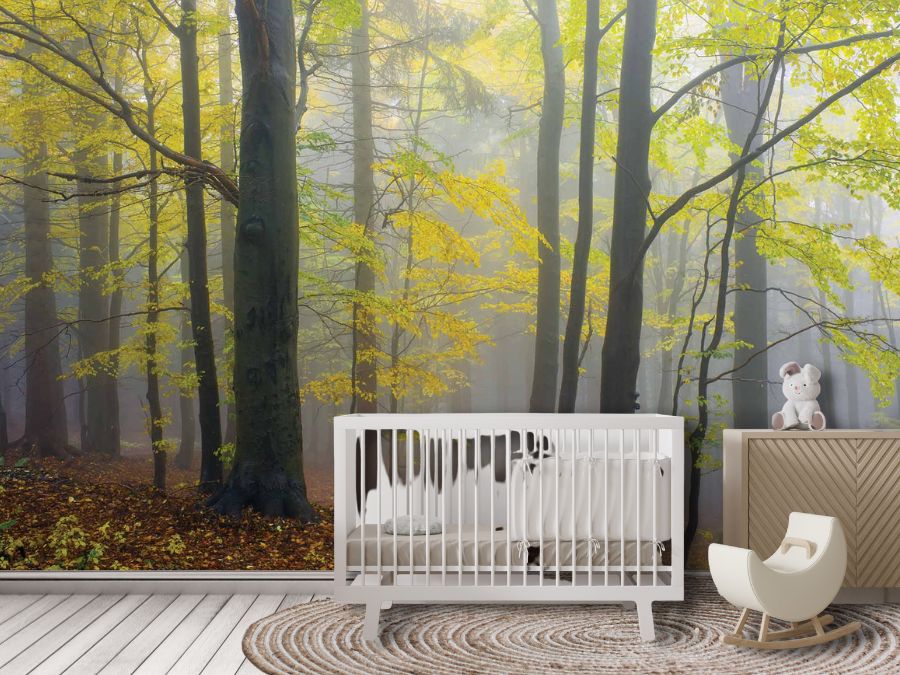 Yellow Autumn Wallpaper, as seen on the wall of this nursery, is a photo mural of peaceful yellow trees in a grey foggy forest from About Murals.