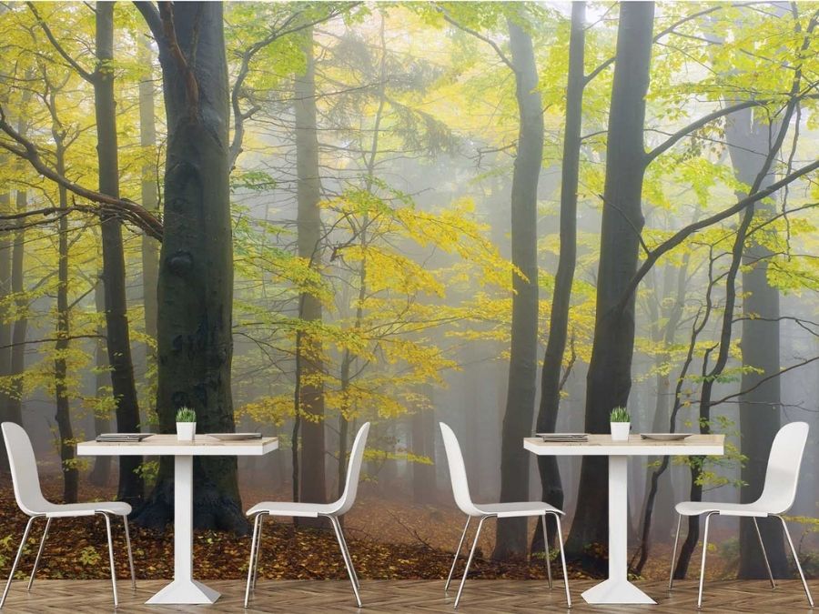 Yellow Autumn Wallpaper, as seen on the wall of this restaurant dining room, is a photo mural of an autumn morning in the fog from About Murals.