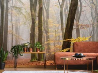 Foggy Fall Wallpaper, as seen on the wall of this living room, is a photo mural of tall trees over a path in an autumn forest from About Murals.