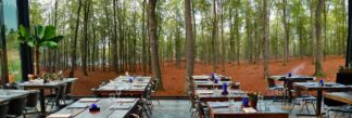 Green Fall Wallpaper, as seen on the wall of this restaurant, is a panoramic photo mural of a path in a green autumn forest with dried orange leaves from About Murals.