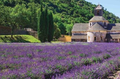 Lavender Field Wallpaper is a photo mural of a church overlooking rows of flowers in a garden in France from About Murals.