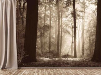 Ancient Forest Wallpaper, as seen on the wall of this room, is a photo mural of sunlight shining through large trees in a brown forest from About Murals.