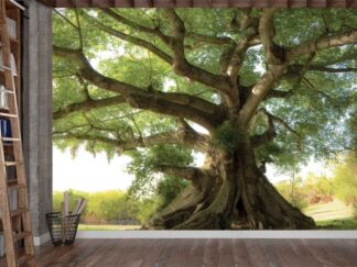 Old Tree Wallpaper, as seen on the wall of this office, is a photo mural of a tropical Kapok tree from About Murals.