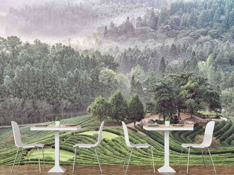 Plantation Wallpaper, as seen on the wall of this tea shop and cafe, is a photo mural of misty trees overlooking a green tea plantation on a rolling mountainside from About Murals.
