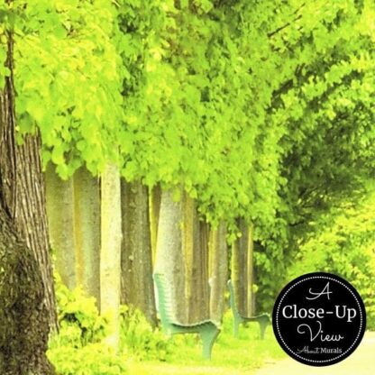 Tree Path Wallpaper - Image 3