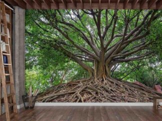 Banyan Tree Wallpaper, as seen on the wall of this office, is a photo mural of an old tree with woody, aerial roots on top of a small hill from About Murals.
