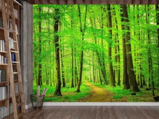 Beech Tree Wallpaper, as seen on the wall of this living room, is a photo mural of a path meandering under green leafy trees in a forest from About Murals.