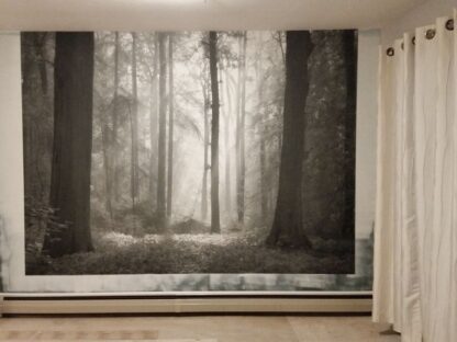 Black and White Woods Wallpaper, as seen in this customer’s home, is a landscape mural of a gray forest with fog from About Murals.