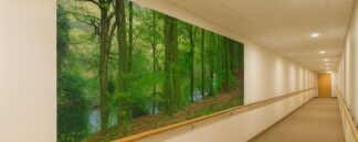 Ireland Forest Wallpaper, as seen on the wall of this care home hallway, is a peaceful nature scene with green trees lining a river from About Murals.