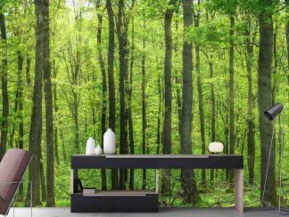 Relaxing Forest Wallpaper, as seen on the wall of this hallway, is a photo mural of subtle sunbeams shining through peaceful green trees in the woods from About Murals.