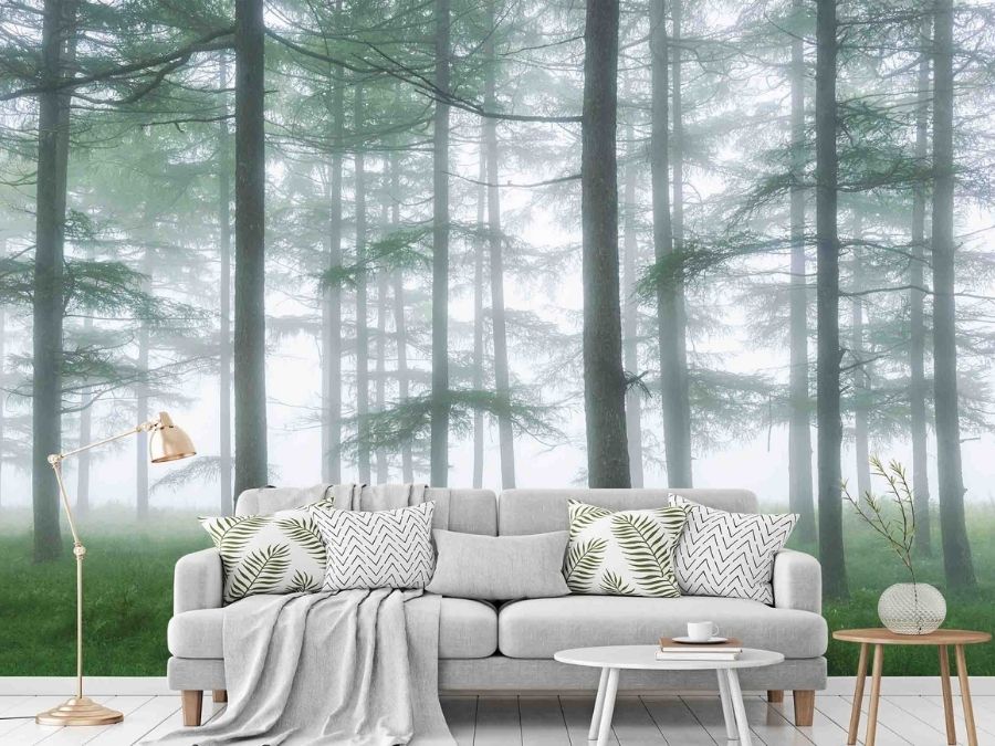 Sea of Trees Wallpaper, as seen on the wall of this living room, is a photo mural of realistic trees in a Japanese forest surrounded by morning mist from About Murals.