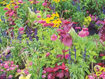 Summer Flower Wallpaper is a wall mural of bright flowers in a flower garden, Parc de la Nature, Laval, Quebec from About Murals.