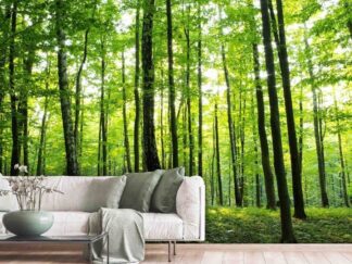 Tranquil Forest Wallpaper, as seen on the wall of this living room, is a photo mural of sun peeking through green trees in the woods from About Murals.
