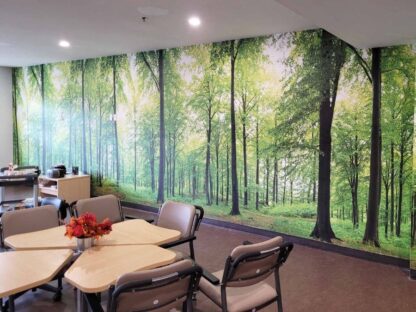 Woodland Forest Wallpaper, as seen on the wall of this care home dining room, is a photo mural of peaceful trees in a forest from About Murals.