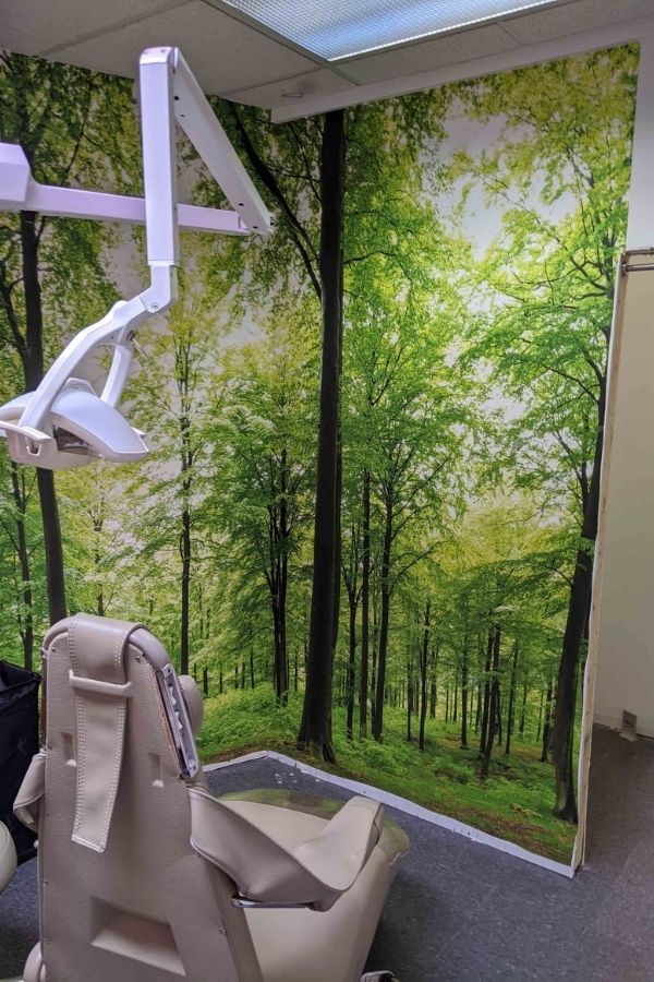 Woodland Forest Wallpaper, as seen on the walls of this dentist office, is a biophilic photo mural featuring calming green trees in a forest from About Murals.