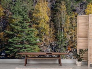 Algonquin Park Wallpaper, as seen on the wall of this living room, is a high resolution photo mural of fall trees in a provincial park from About Murals.
