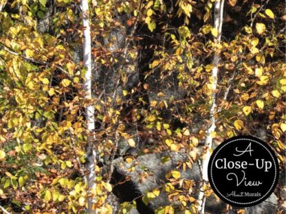 Algonquin Park Wallpaper - Image 3